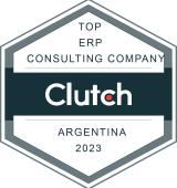 TOP ERP CONSULTING COMPANY